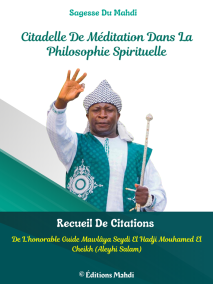Citadelle De Méditation Dans La Philosophie Spirituelle - Tome 1